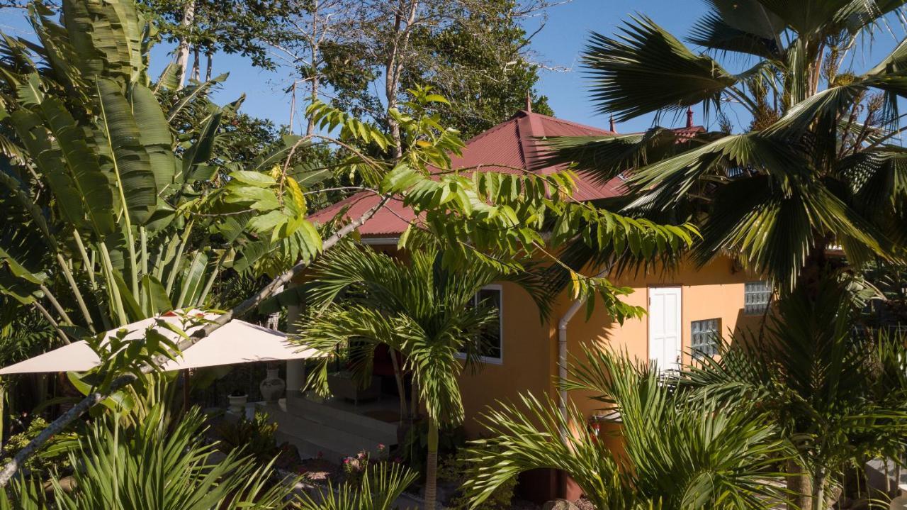 Oceane L'Union Villa Диг Екстериор снимка