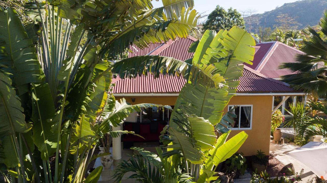 Oceane L'Union Villa Диг Екстериор снимка